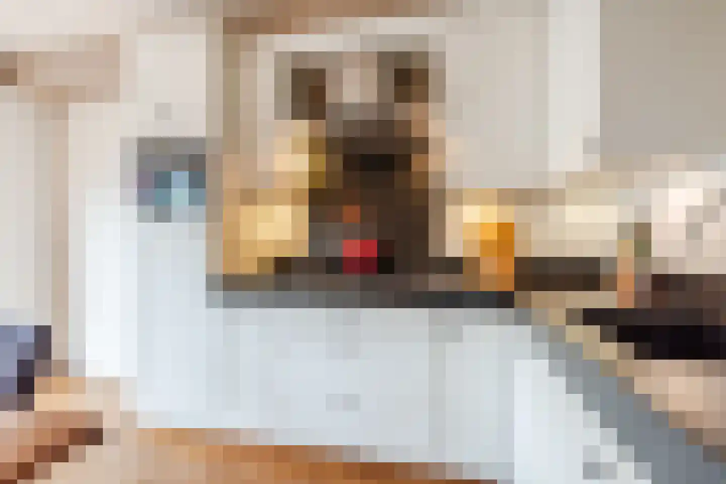 Nieuwe Grensweg 58 Harderwijk thumbnail 17