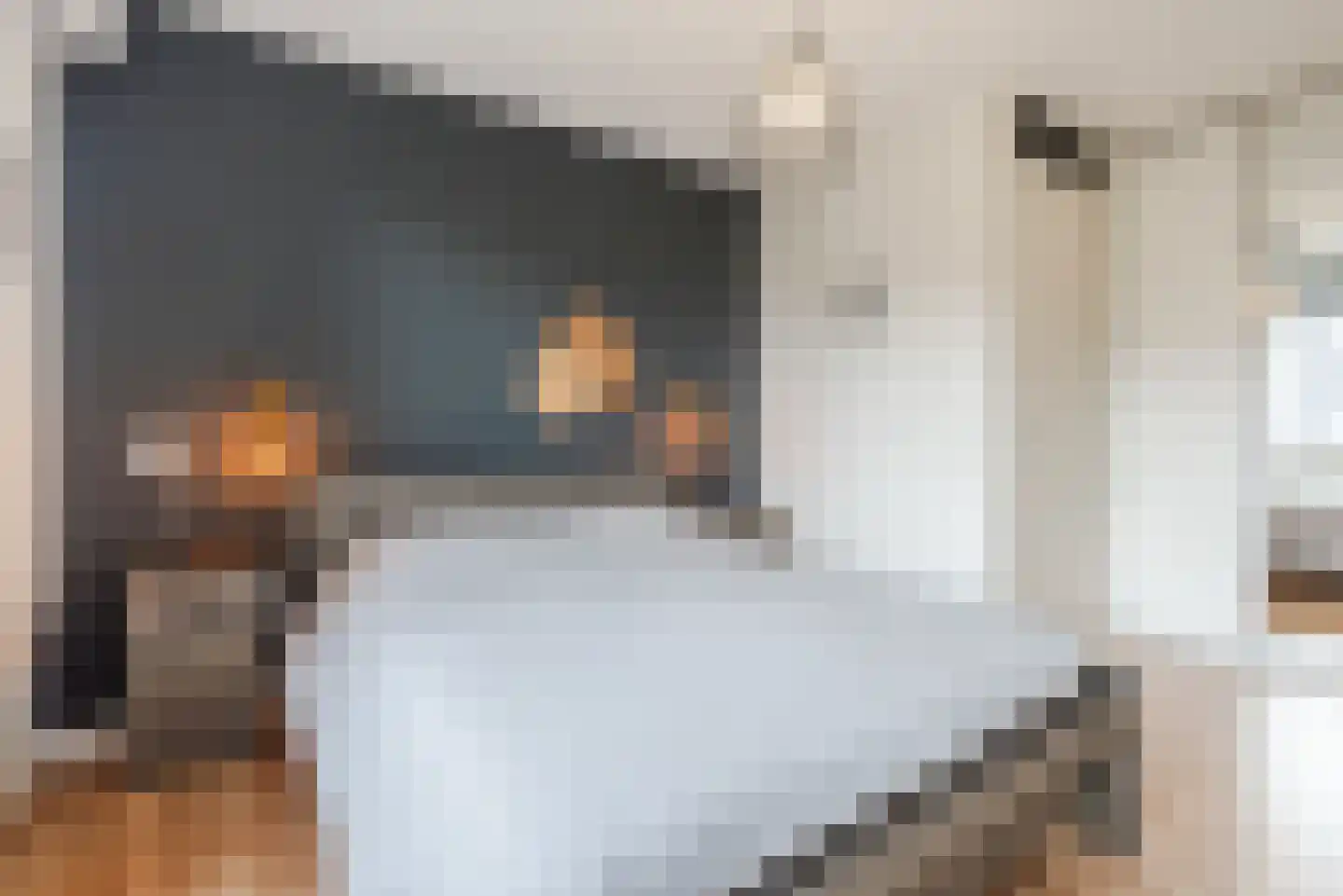 Nieuwe Grensweg 58 Harderwijk thumbnail 26