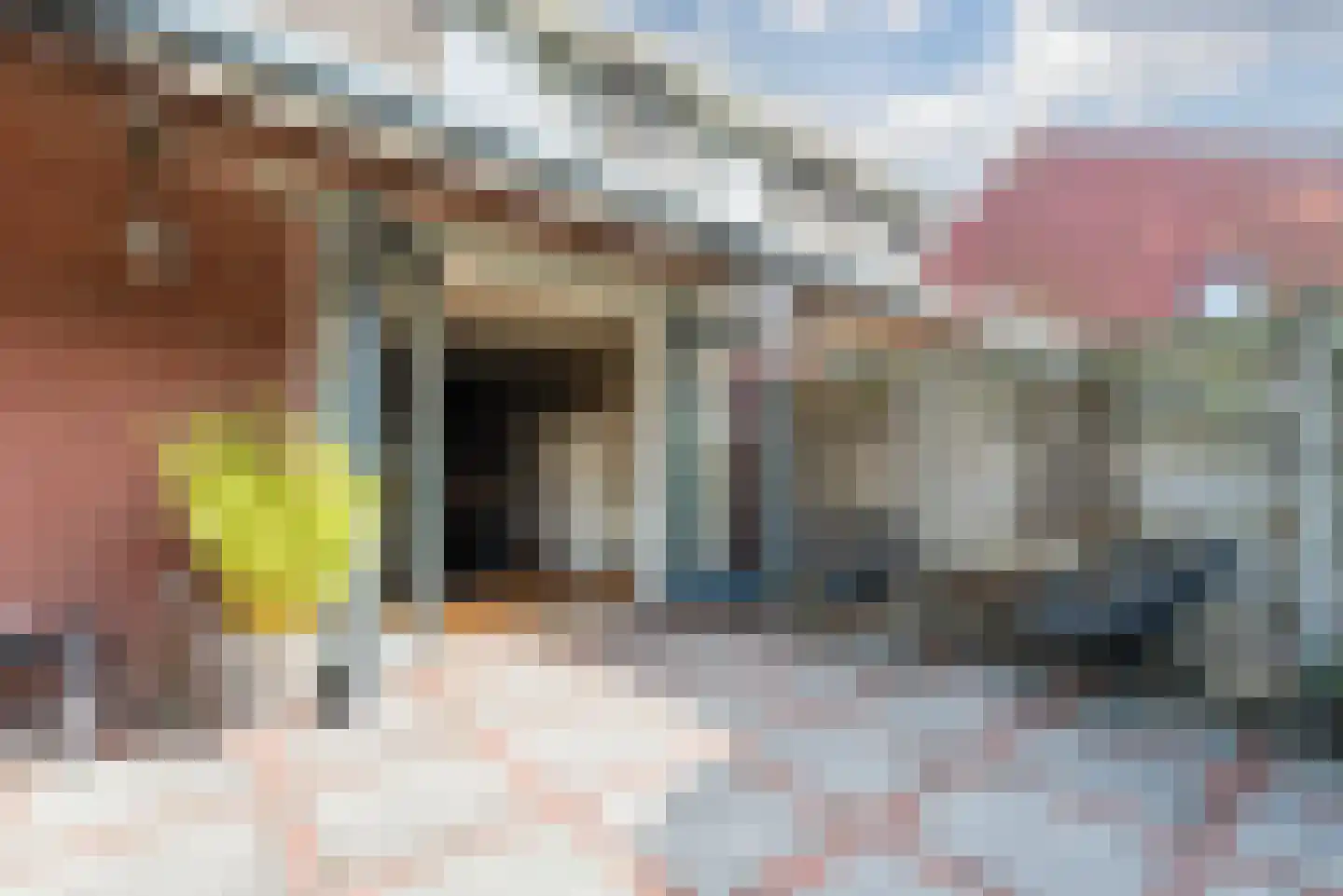 Nieuwe Grensweg 58 Harderwijk thumbnail 53