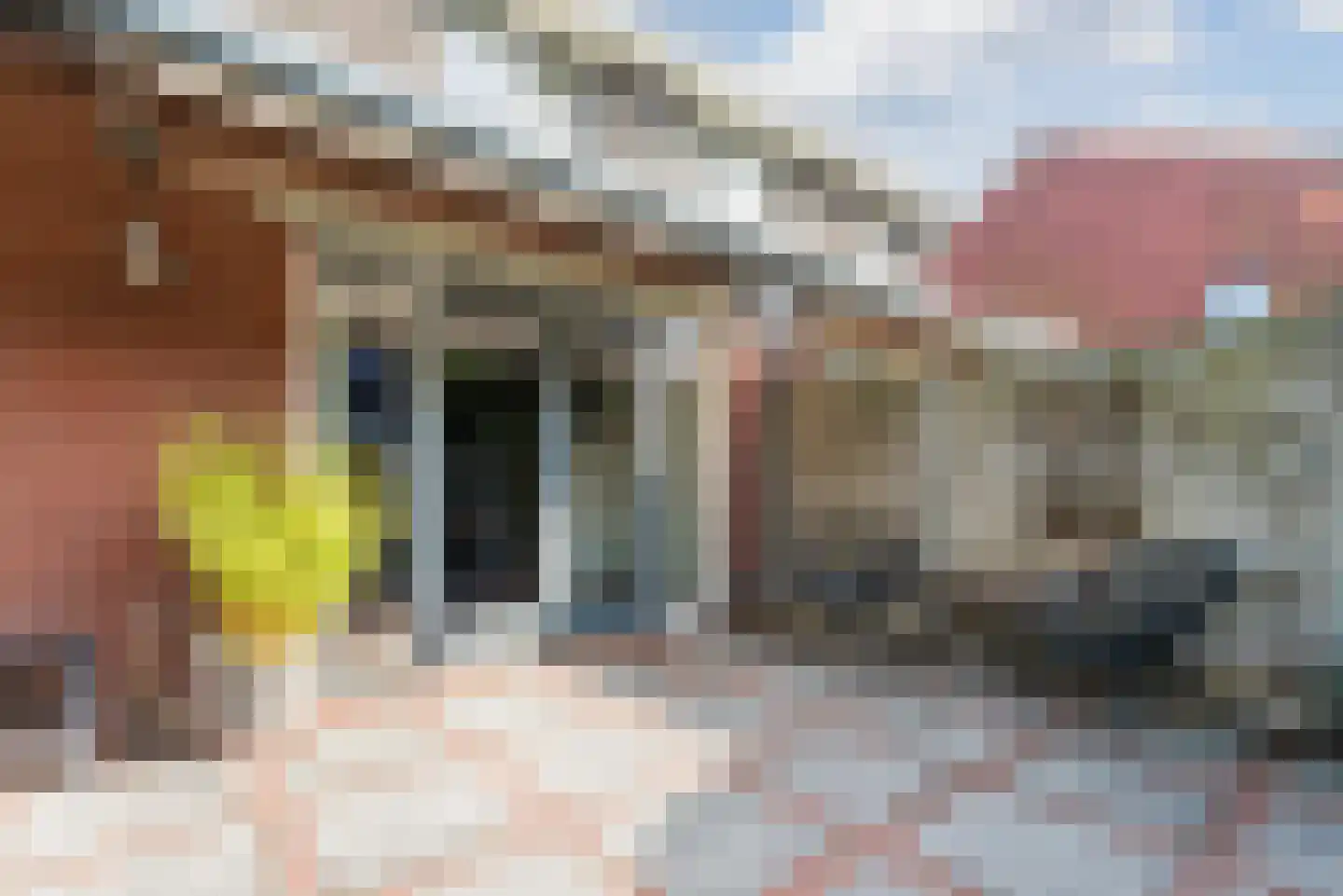 Nieuwe Grensweg 58 Harderwijk thumbnail 54