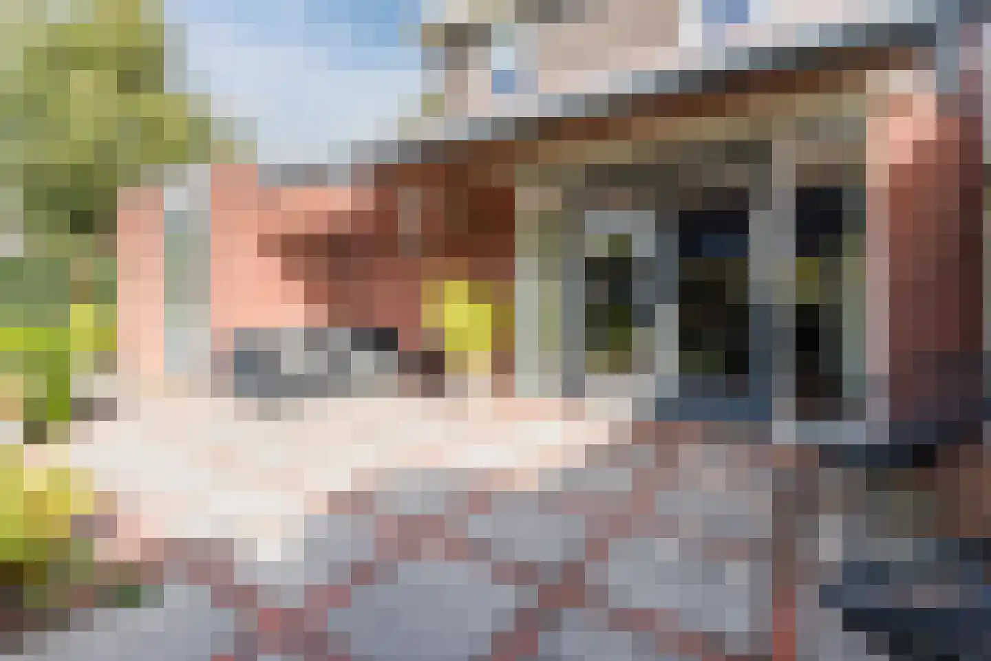 Nieuwe Grensweg 58 Harderwijk thumbnail 55