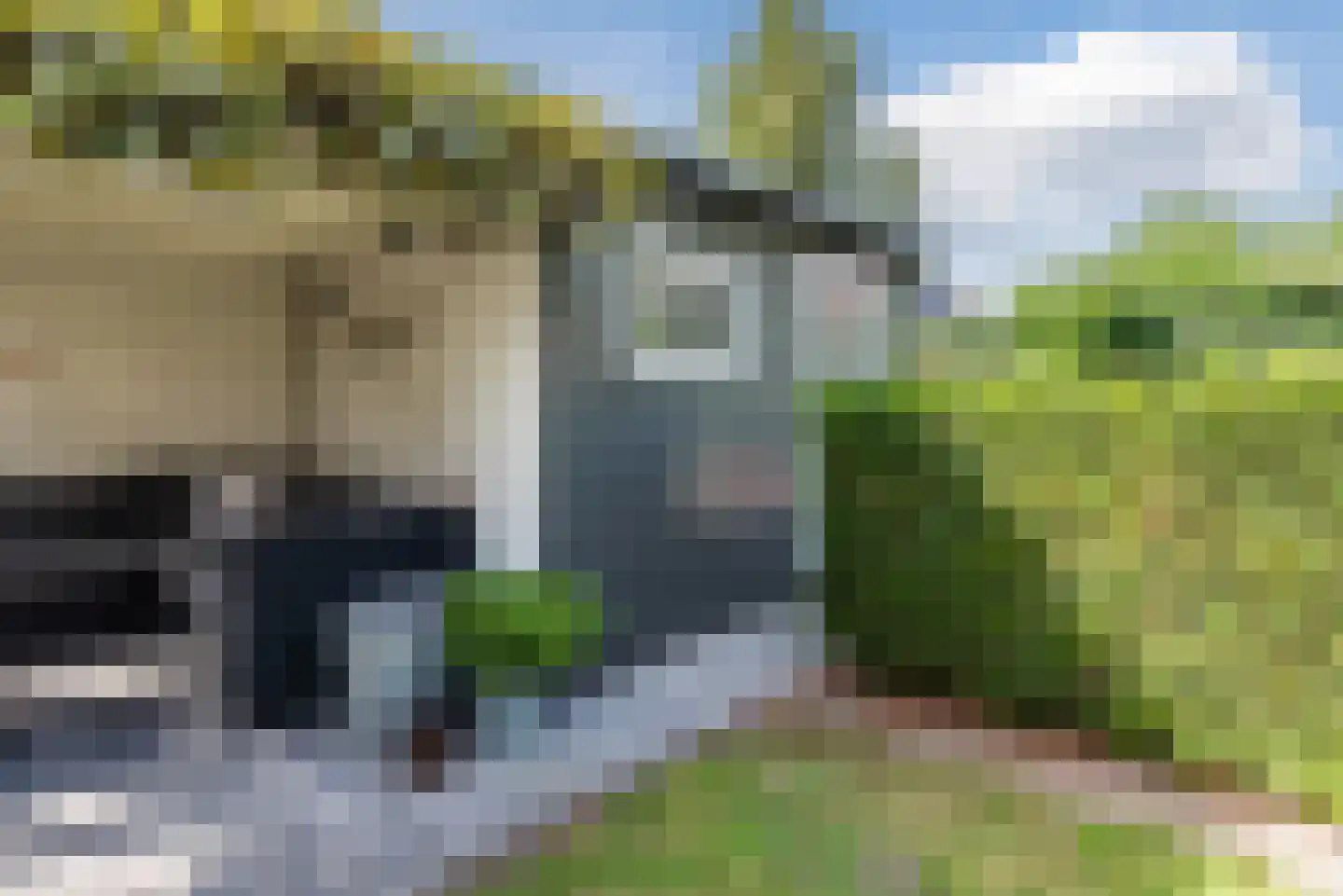 Nieuwe Grensweg 58 Harderwijk thumbnail 62