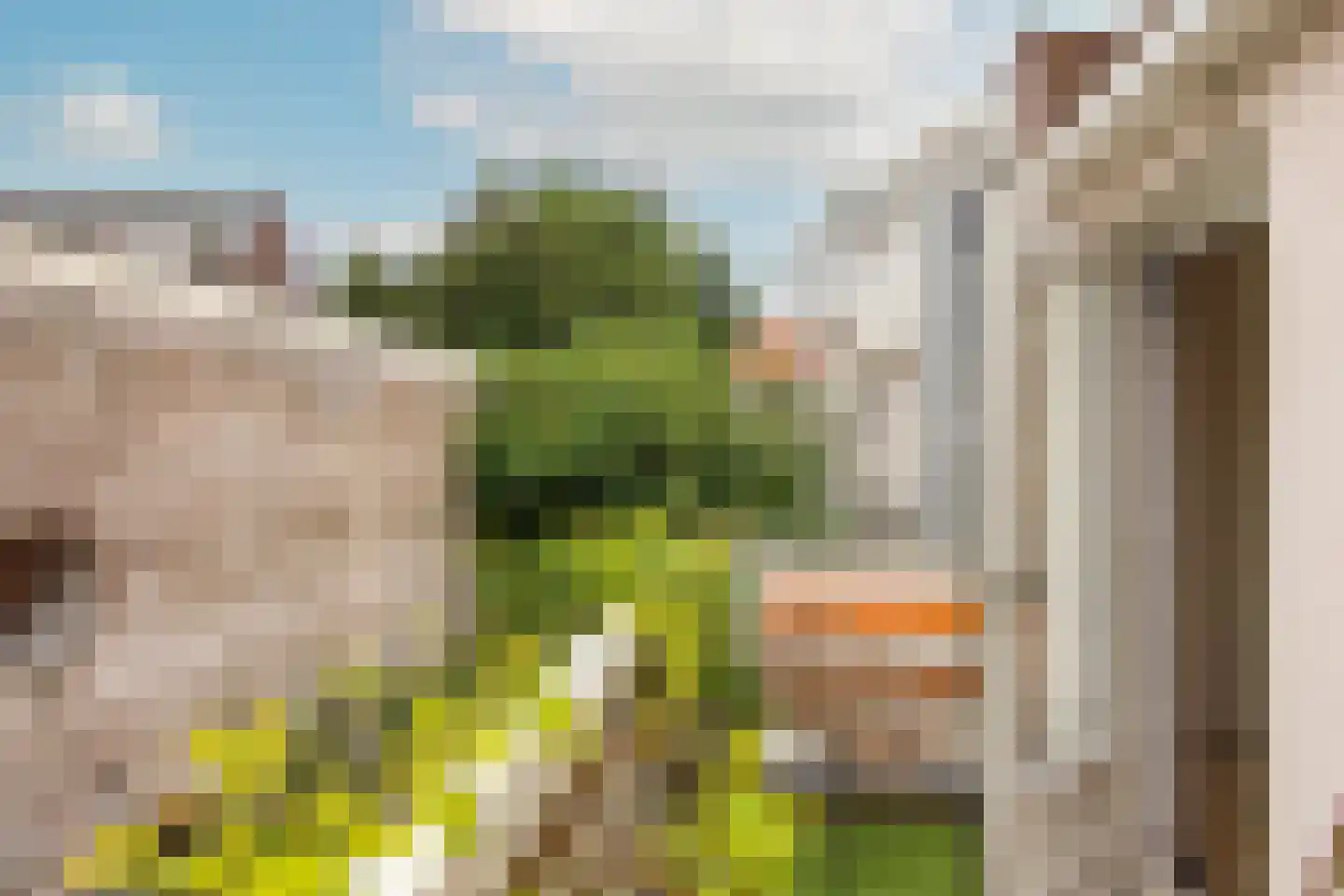 Nieuwe Groenmarkt 1 Haarlem thumbnail 15