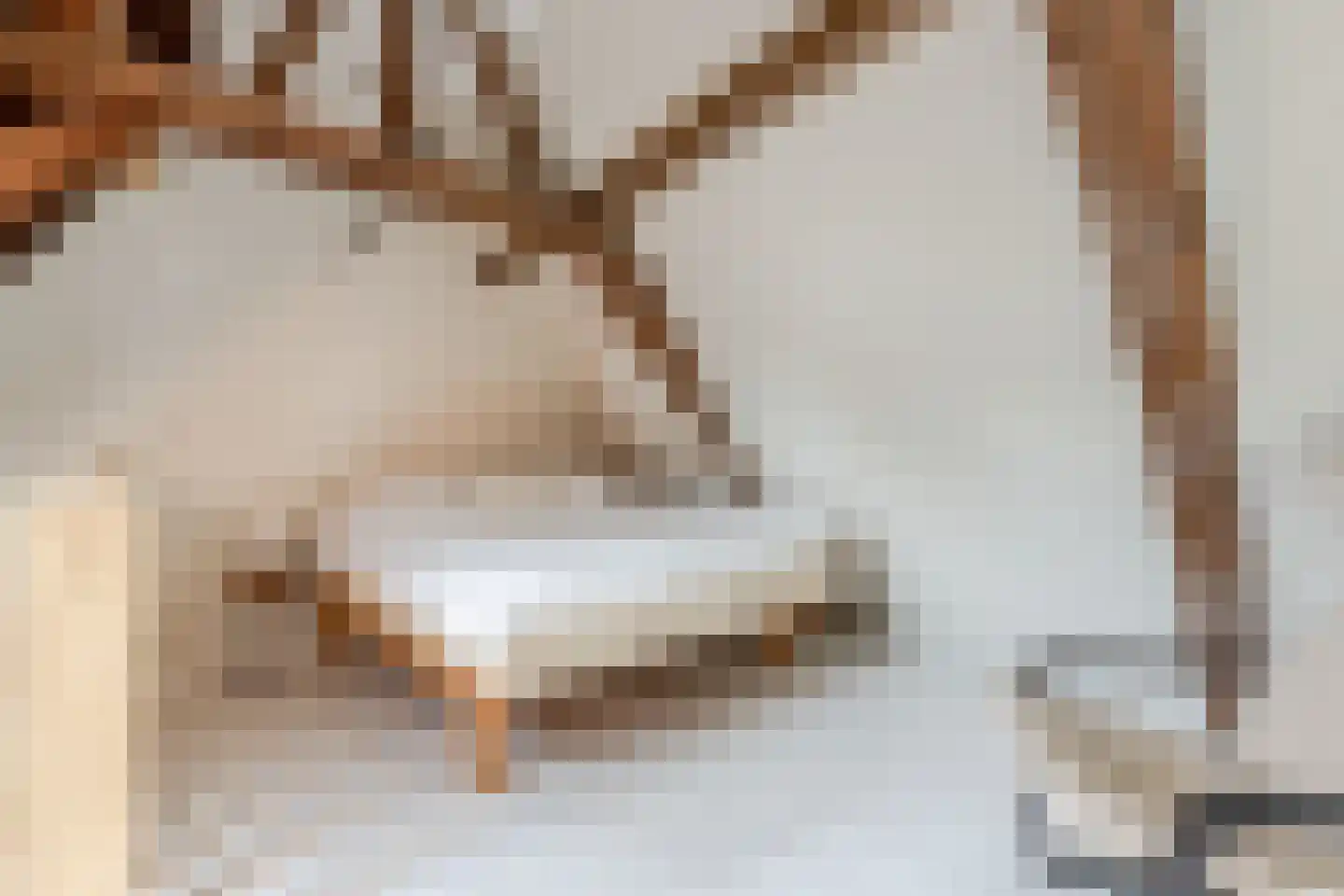 Nieuwe Groenmarkt 1 Haarlem thumbnail 19
