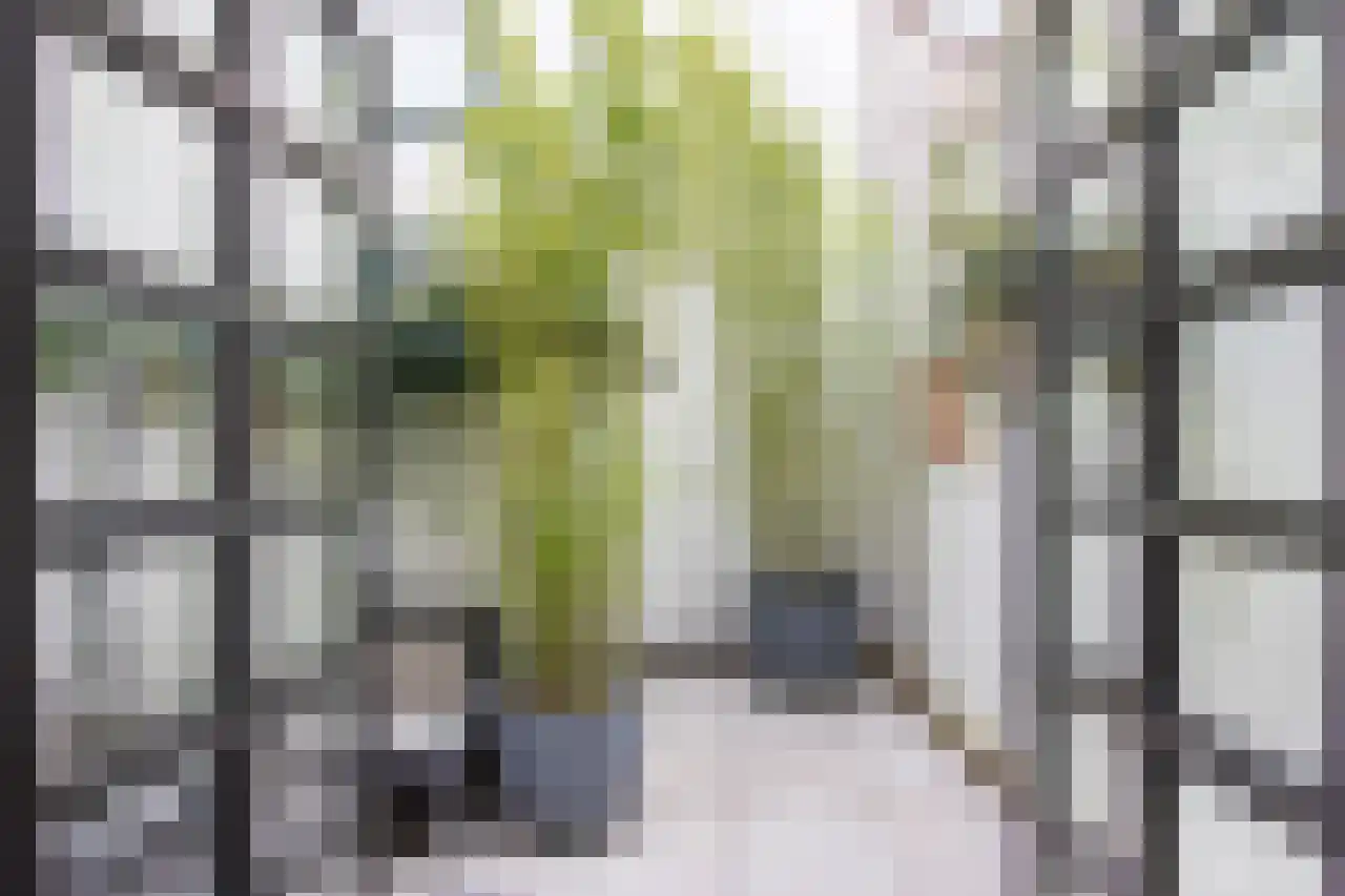 Nieuwe Groenmarkt 1 Haarlem thumbnail 8