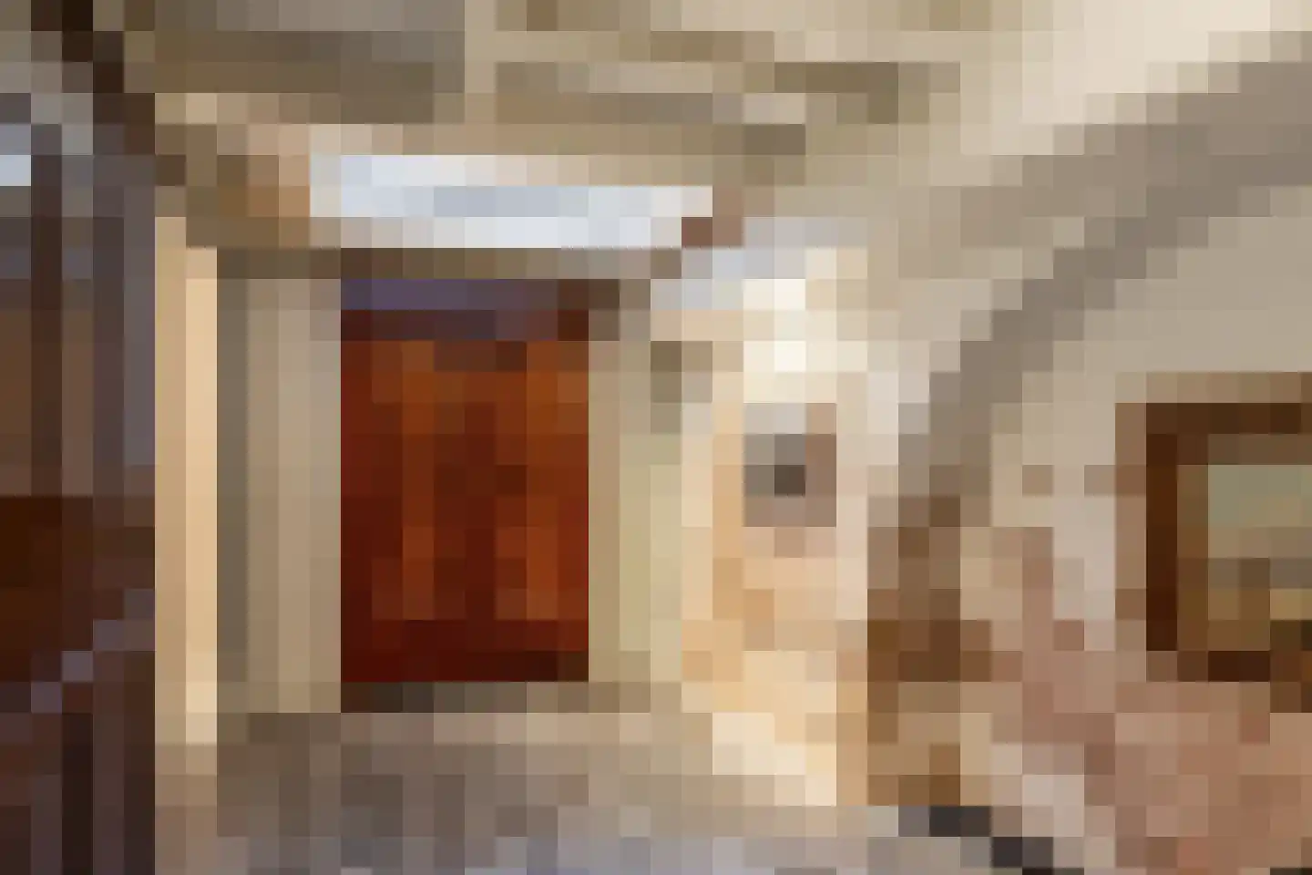 Nieuwe Groenmarkt 1 Haarlem thumbnail 9