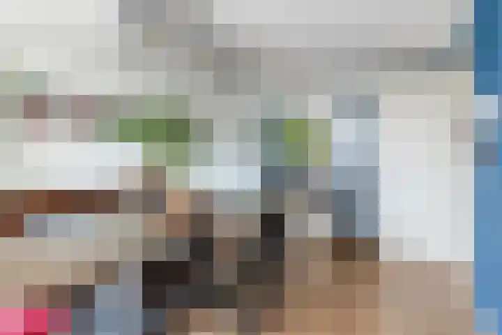 Nieuwe Haagdijk 67 A Breda thumbnail 13