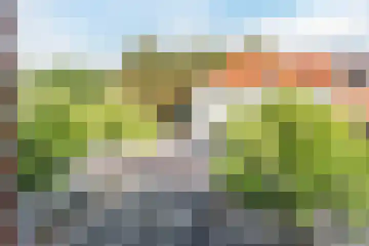 Nieuwe Haagdijk 67 A Breda thumbnail 25