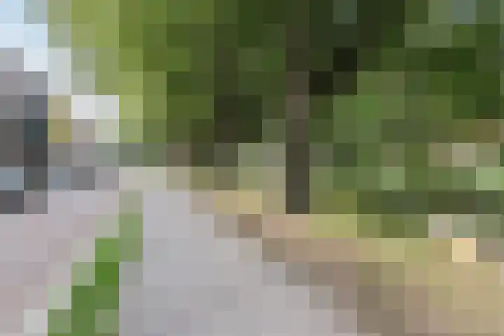 Nieuwe Haagdijk 67 A Breda thumbnail 29