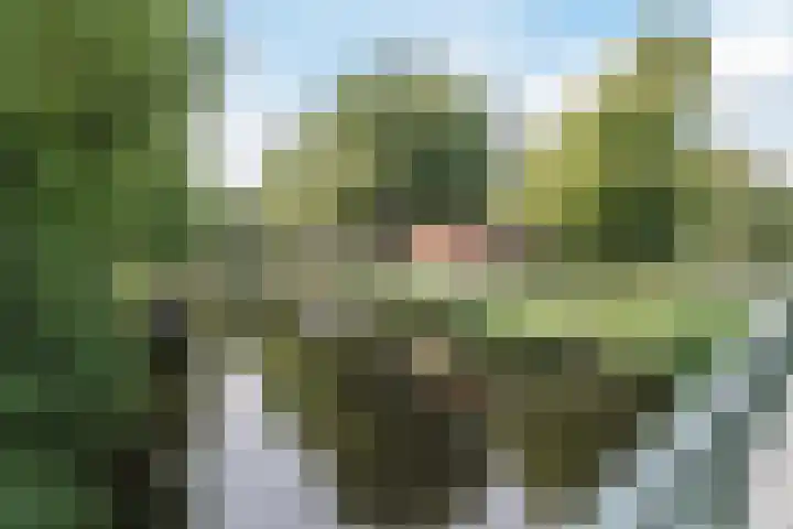 Nieuwe Haagdijk 67 A Breda thumbnail 30