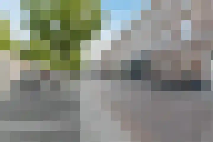 Nieuwe Haagdijk 67 A Breda thumbnail 5