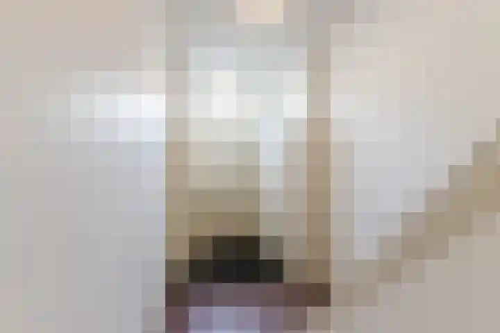 Nieuwe Haagdijk 67 A Breda thumbnail 6