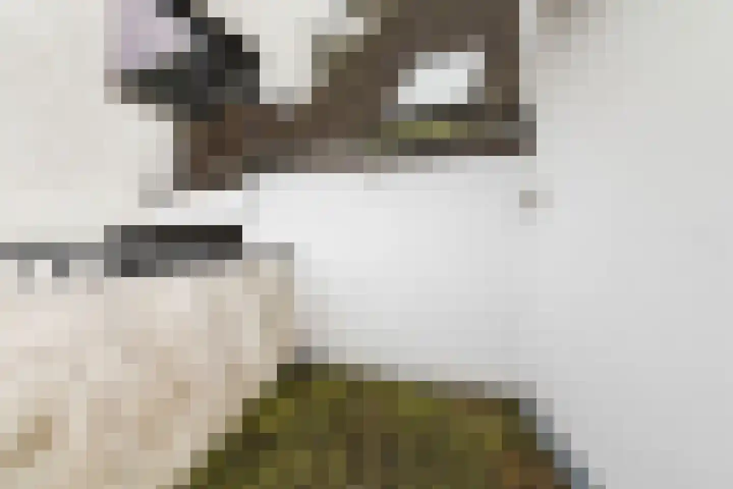 Nieuwe Haagdijk 67 E Breda thumbnail 14