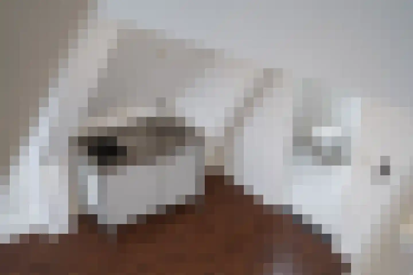 Nieuwe Haagdijk 69 C1 Breda thumbnail 12