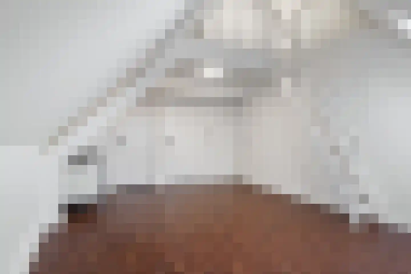 Nieuwe Haagdijk 69 C1 Breda foto 2
