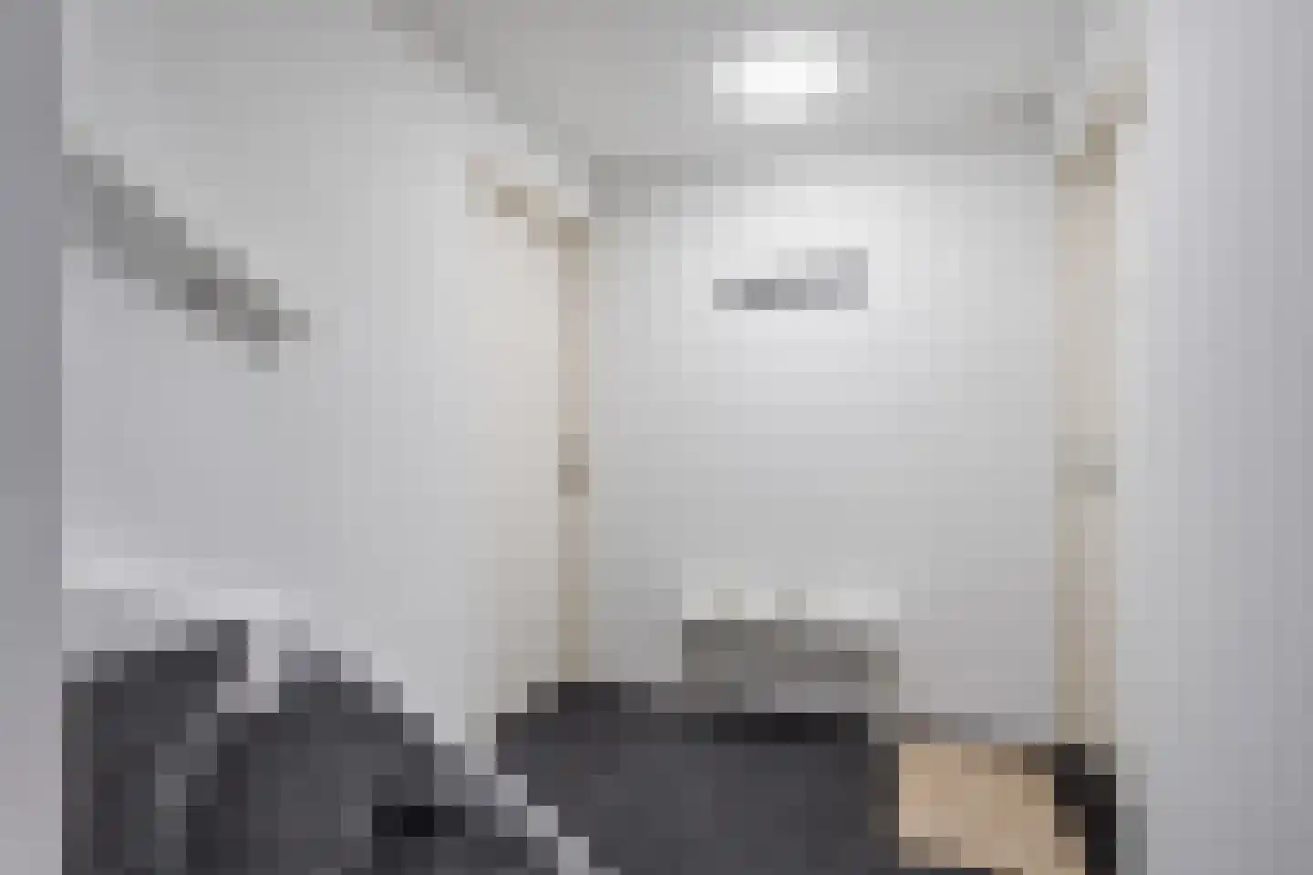 Nieuwe Haagdijk 69 C3 Breda thumbnail 14