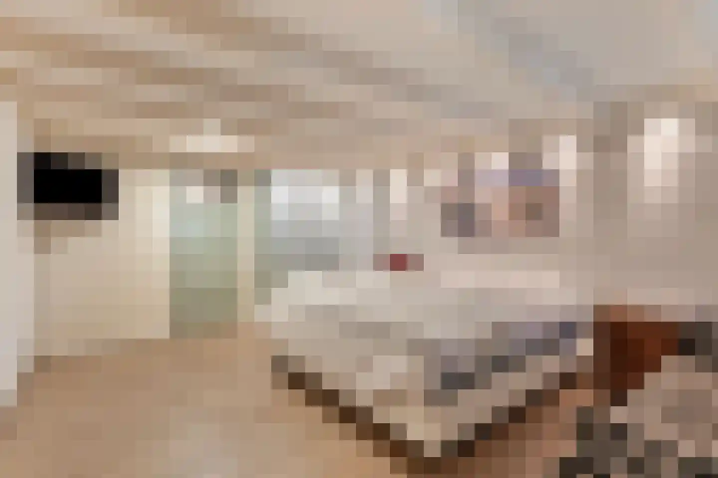 Nieuwe Haven 111 Zierikzee thumbnail 17
