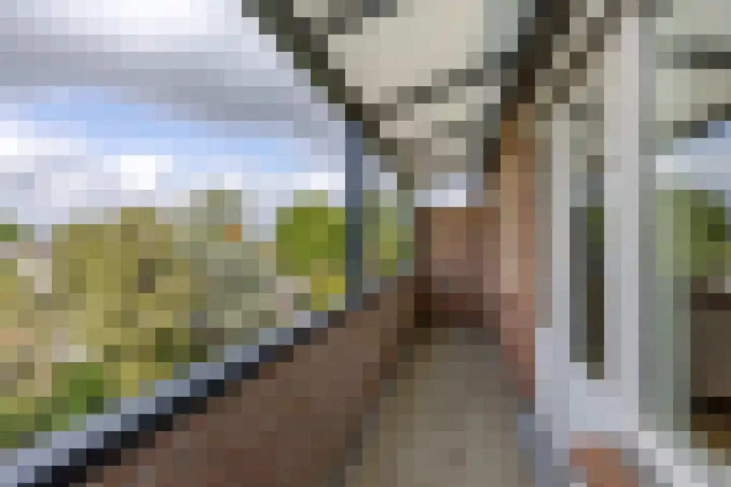 Nieuwe Haven 123 H Schiedam thumbnail 39