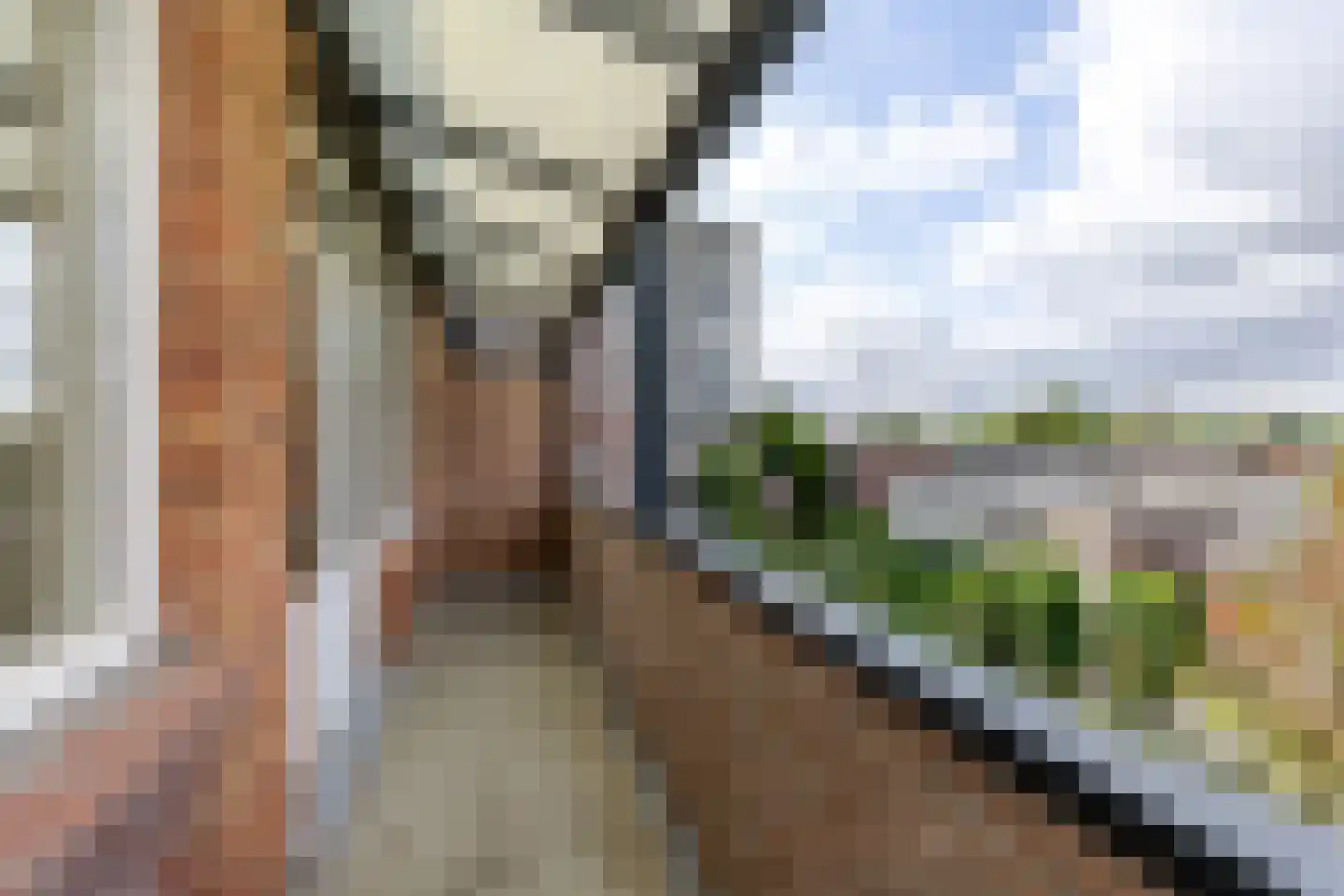 Nieuwe Haven 123 H Schiedam thumbnail 42