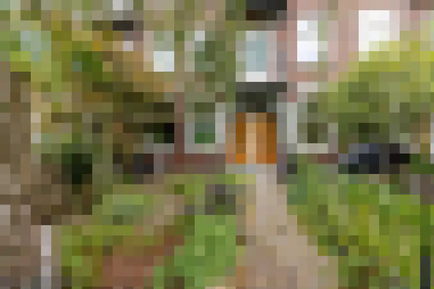Nieuwe Haven 123 H Schiedam thumbnail 9