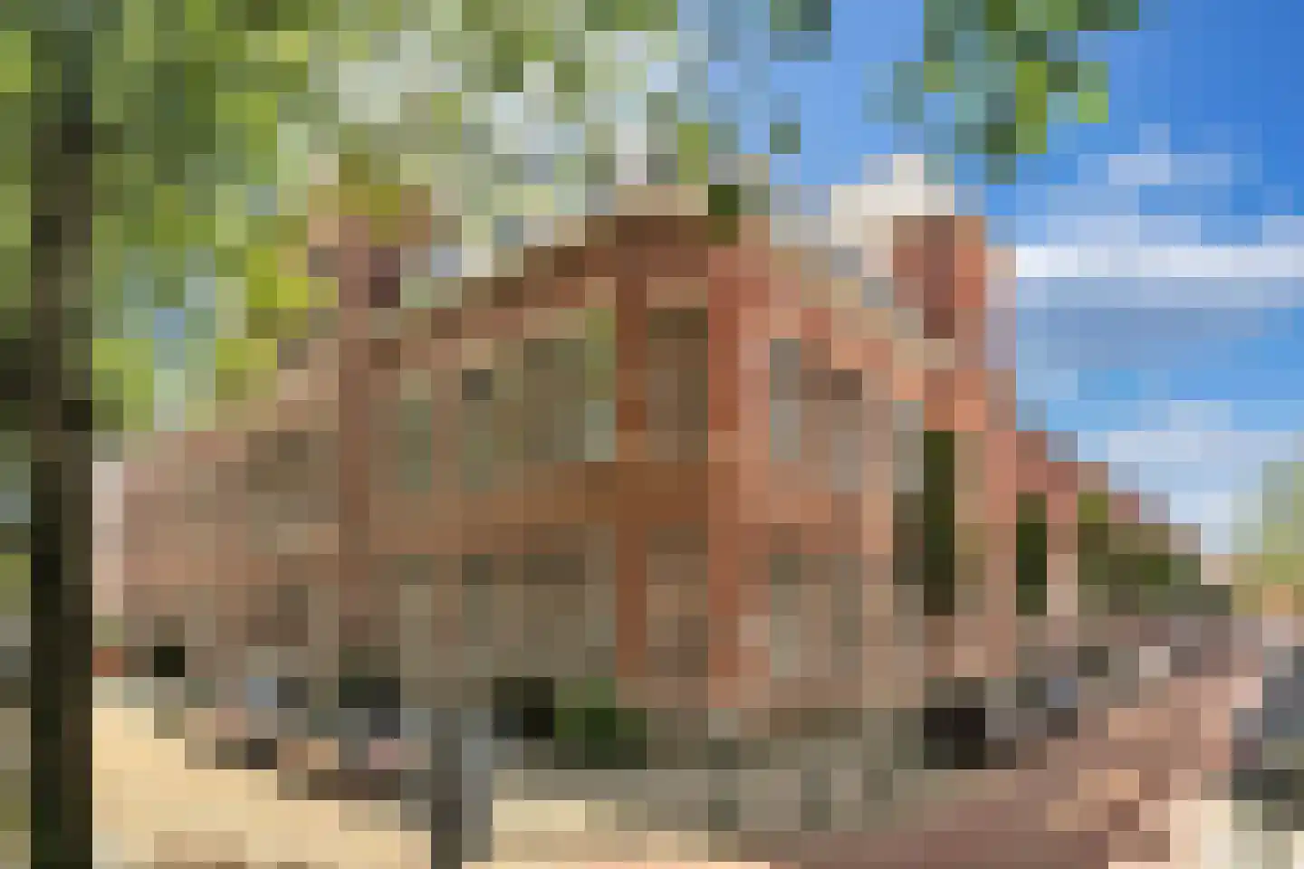 Nieuwe Haven 129 Den Haag thumbnail 6
