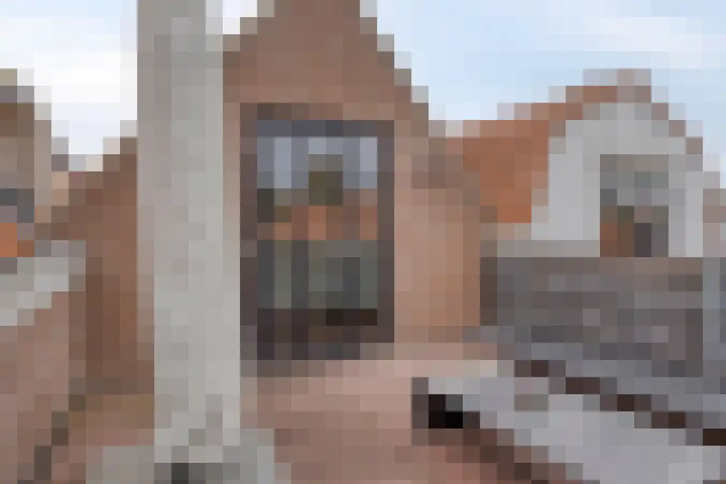 Nieuwe Haven 137 Zierikzee thumbnail 21
