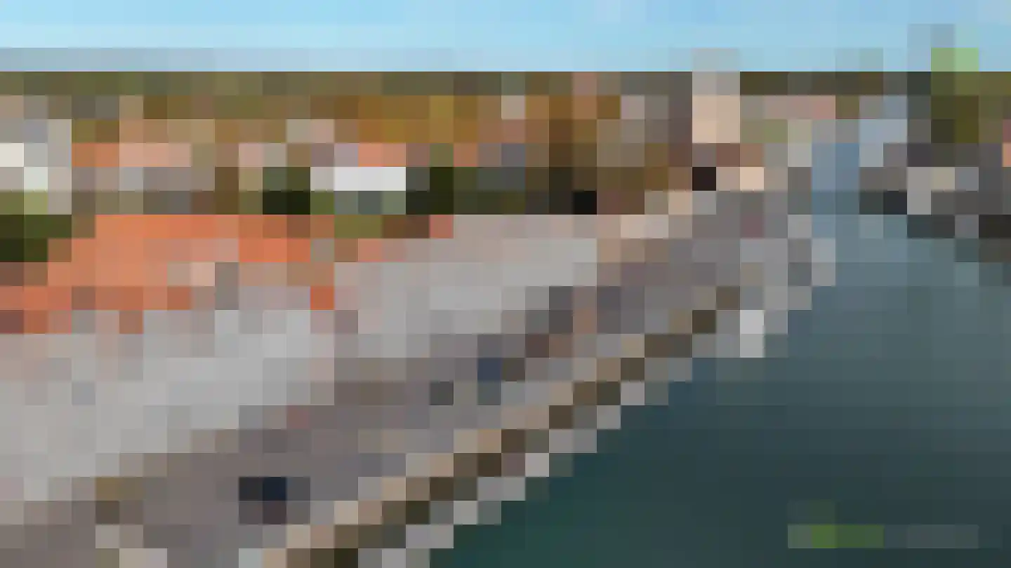 Nieuwe Haven 137 Zierikzee thumbnail 40