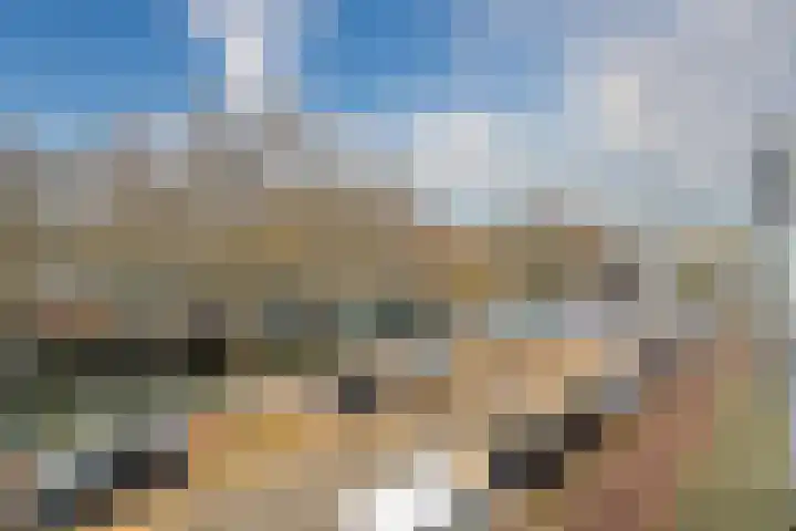 Nieuwe Haven 145 G Schiedam thumbnail 16
