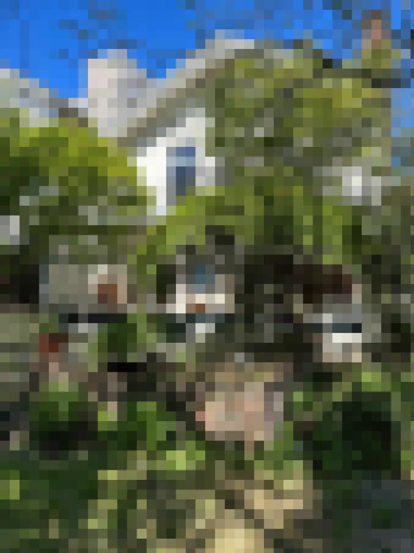 Nieuwe Haven 151 Schiedam thumbnail 23