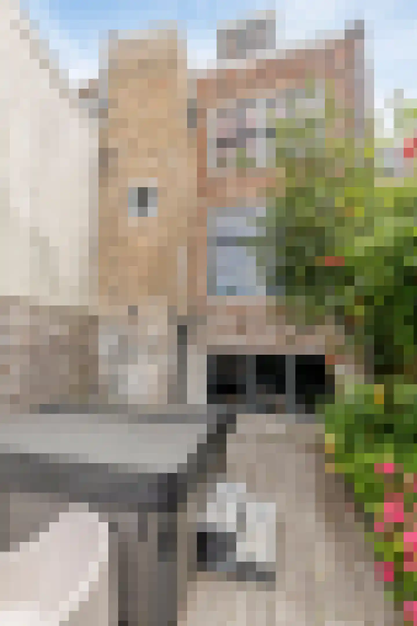 Nieuwe Haven 17 Middelburg thumbnail 17