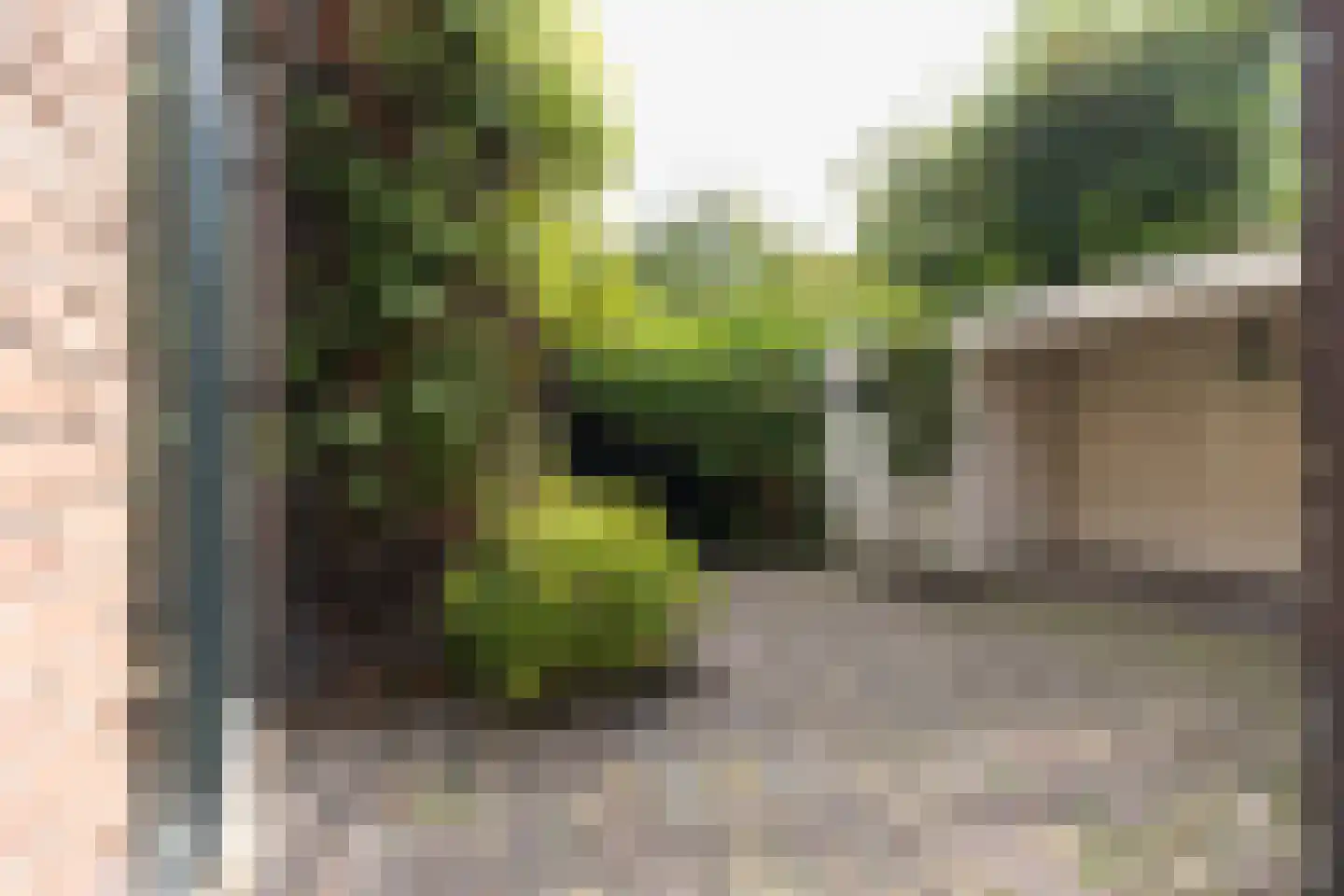 Nieuwe Haven 19 Naarden thumbnail 32