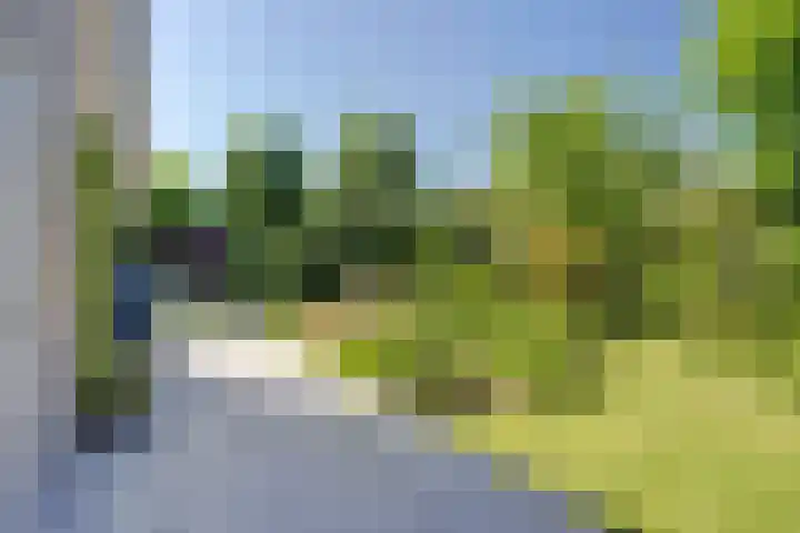 Nieuwe Haven 2 Strijen thumbnail 27