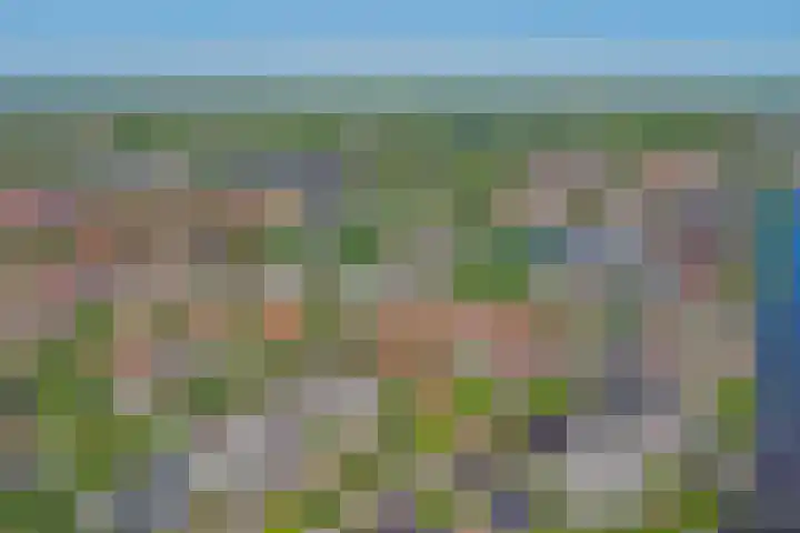 Nieuwe Haven 2 Strijen thumbnail 33