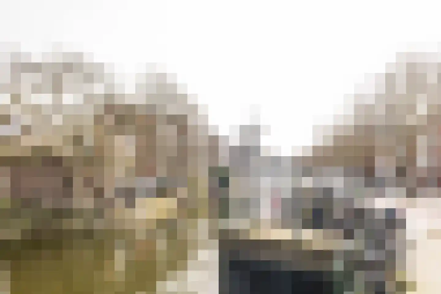 Nieuwe Haven 301 A 1 Schiedam thumbnail 28