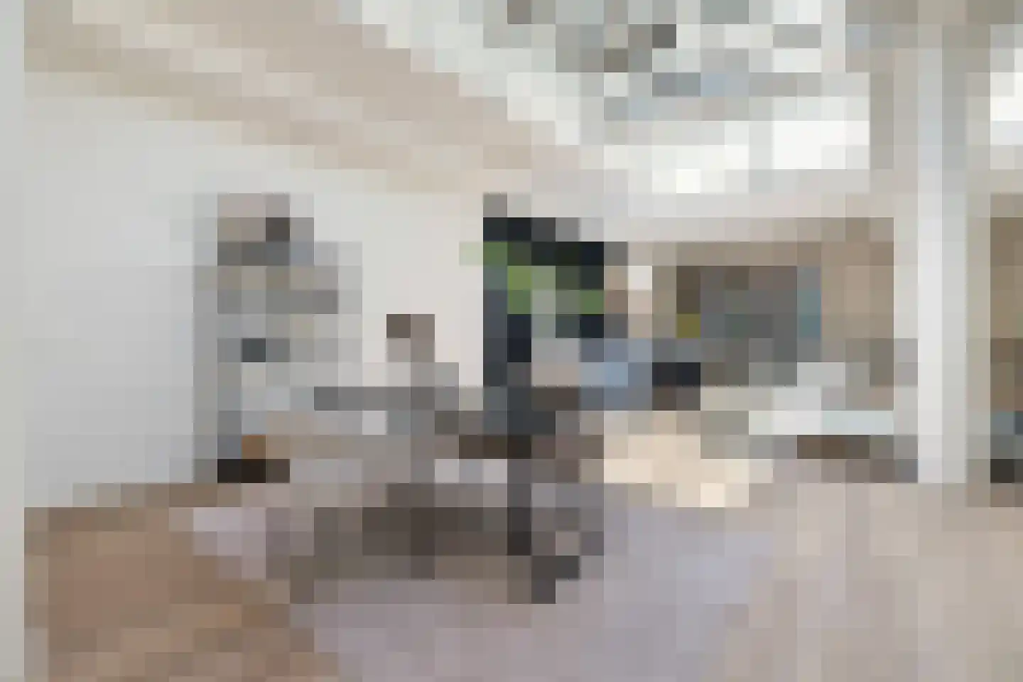Nieuwe Haven 41 B Schiedam thumbnail 20