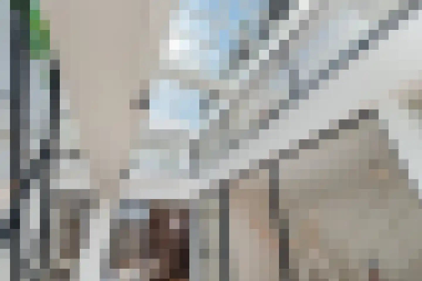 Nieuwe Haven 41 B Schiedam thumbnail 33