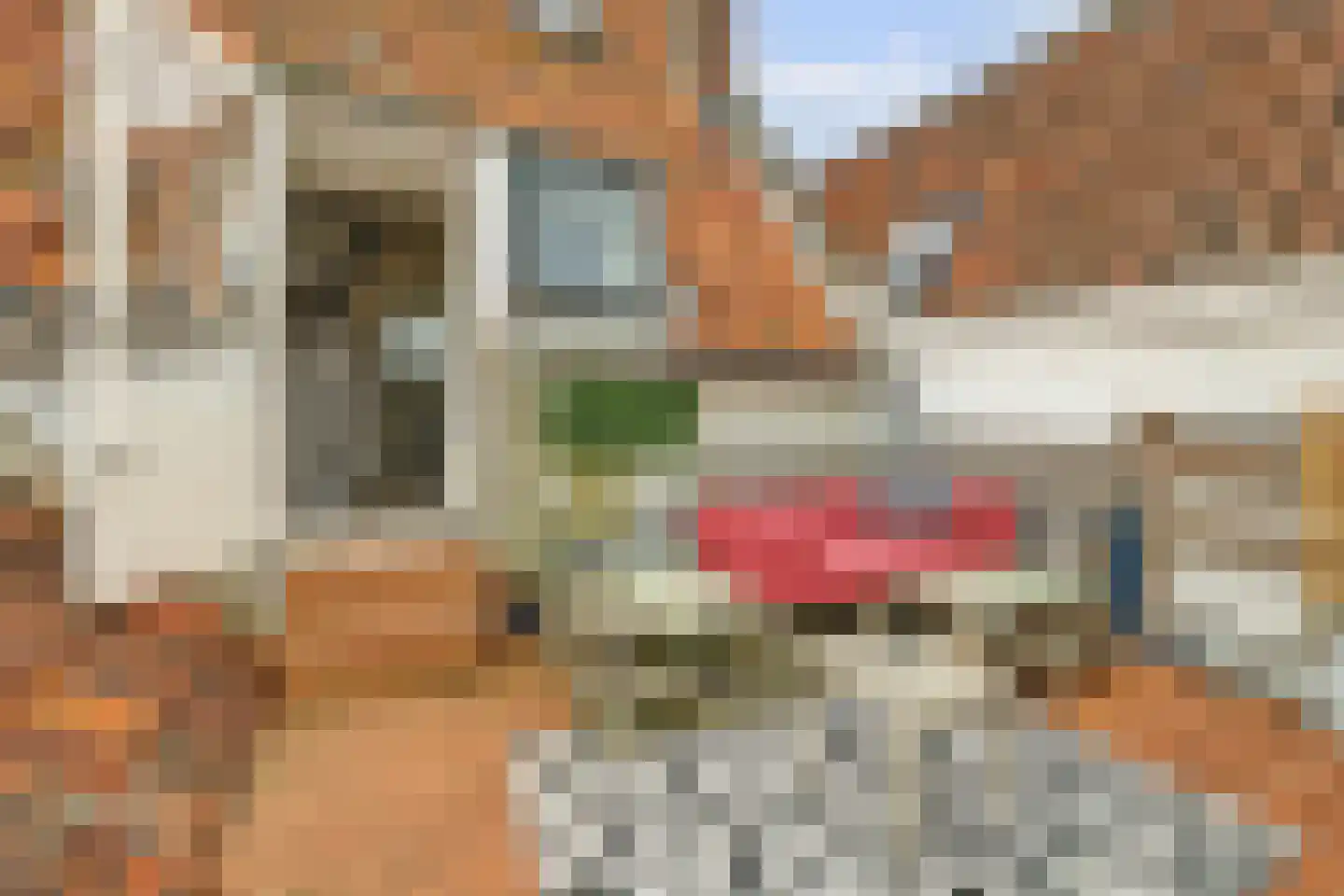 Nieuwe Haven 61 Zierikzee thumbnail 19