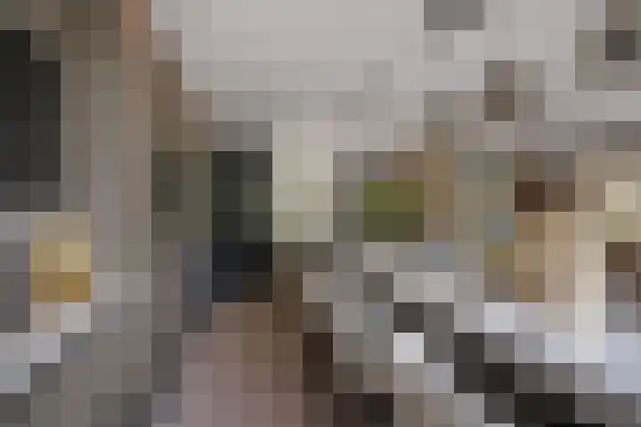 Nieuwe Haven 63 D Schiedam thumbnail 18