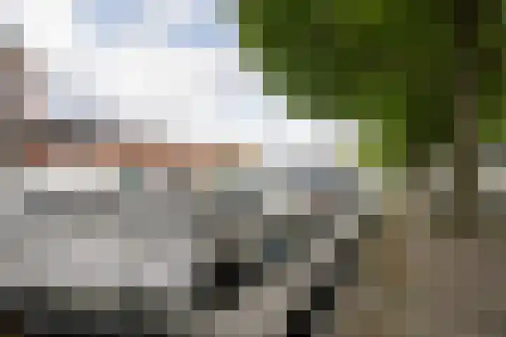 Nieuwe Haven 63 D Schiedam thumbnail 45