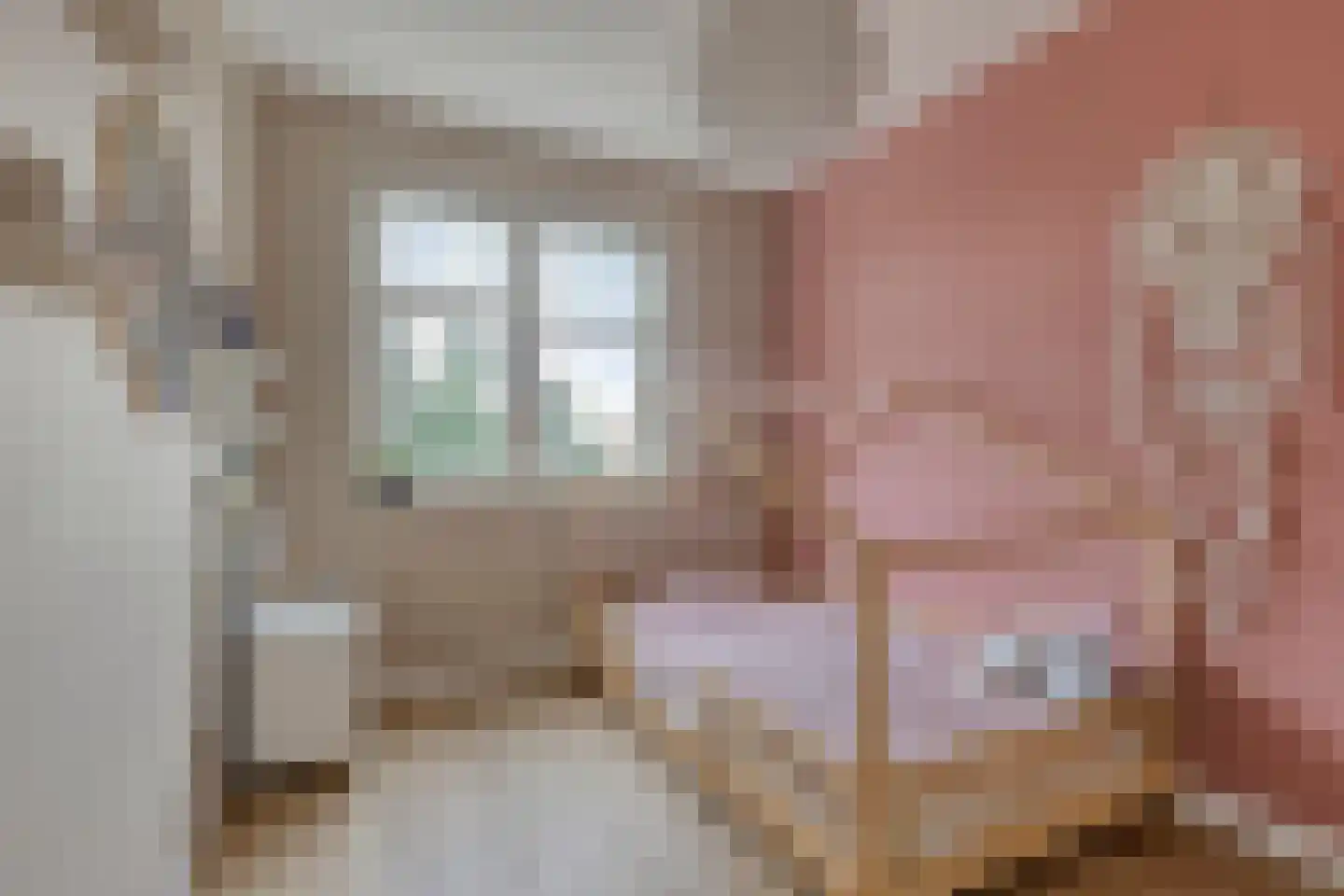 Nieuwe Hegelsomseweg 35 Hegelsom thumbnail 16