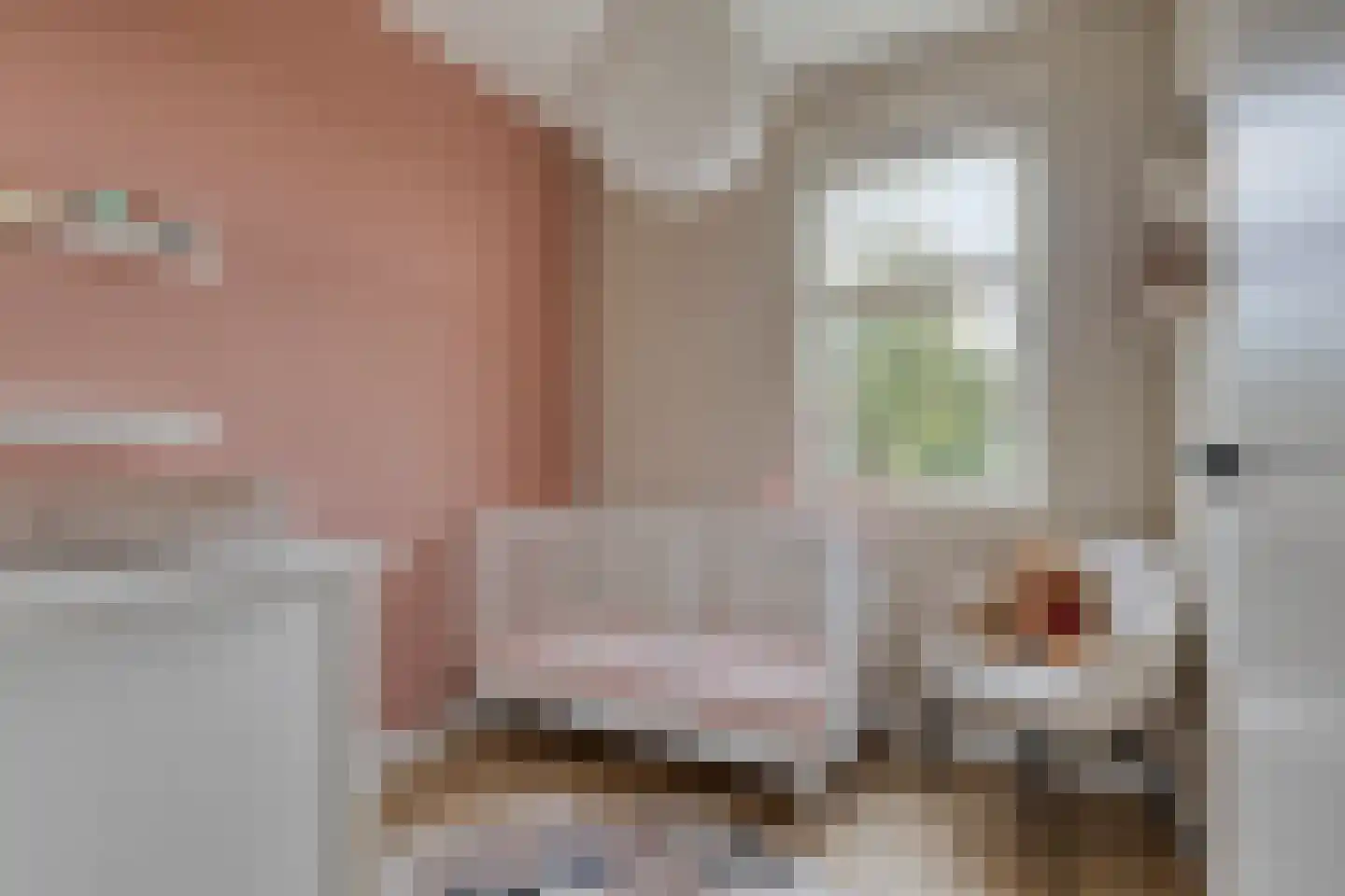 Nieuwe Hegelsomseweg 35 Hegelsom thumbnail 17