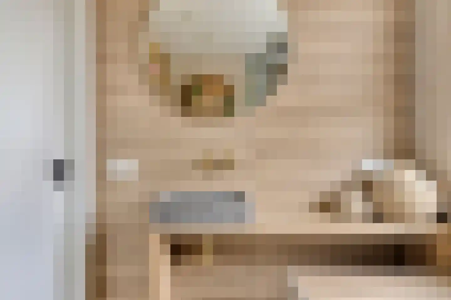 Nieuwe Hegelsomseweg 35 Hegelsom thumbnail 19