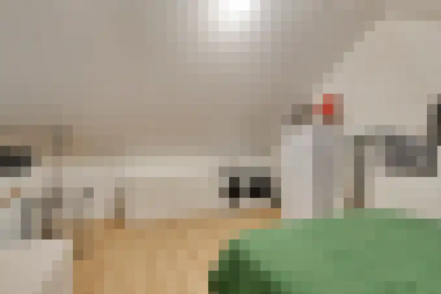 Nieuwe Hegelsomseweg 35 Hegelsom thumbnail 21