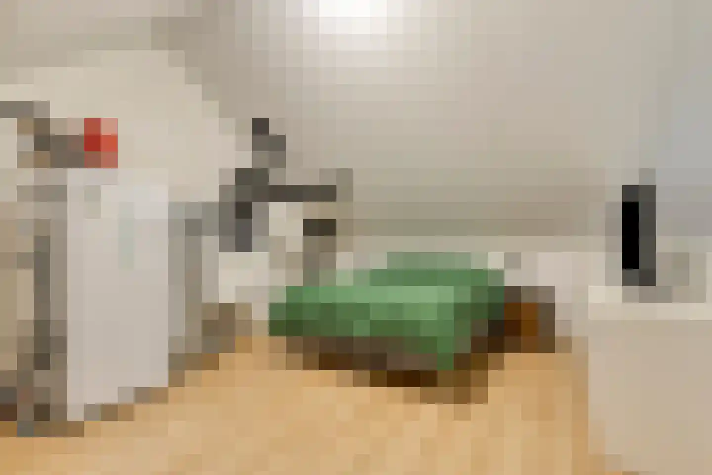 Nieuwe Hegelsomseweg 35 Hegelsom thumbnail 22