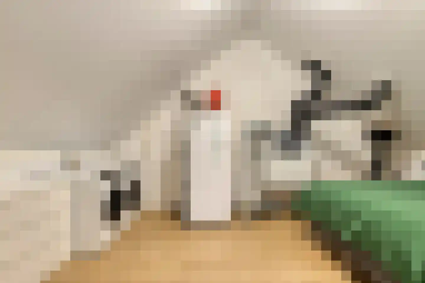 Nieuwe Hegelsomseweg 35 Hegelsom thumbnail 24