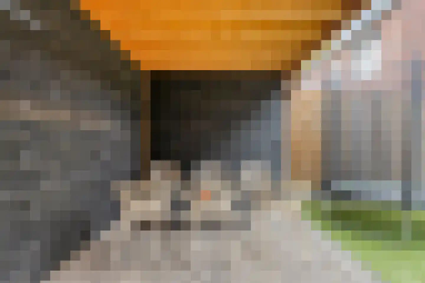 Nieuwe Hegelsomseweg 35 Hegelsom thumbnail 28