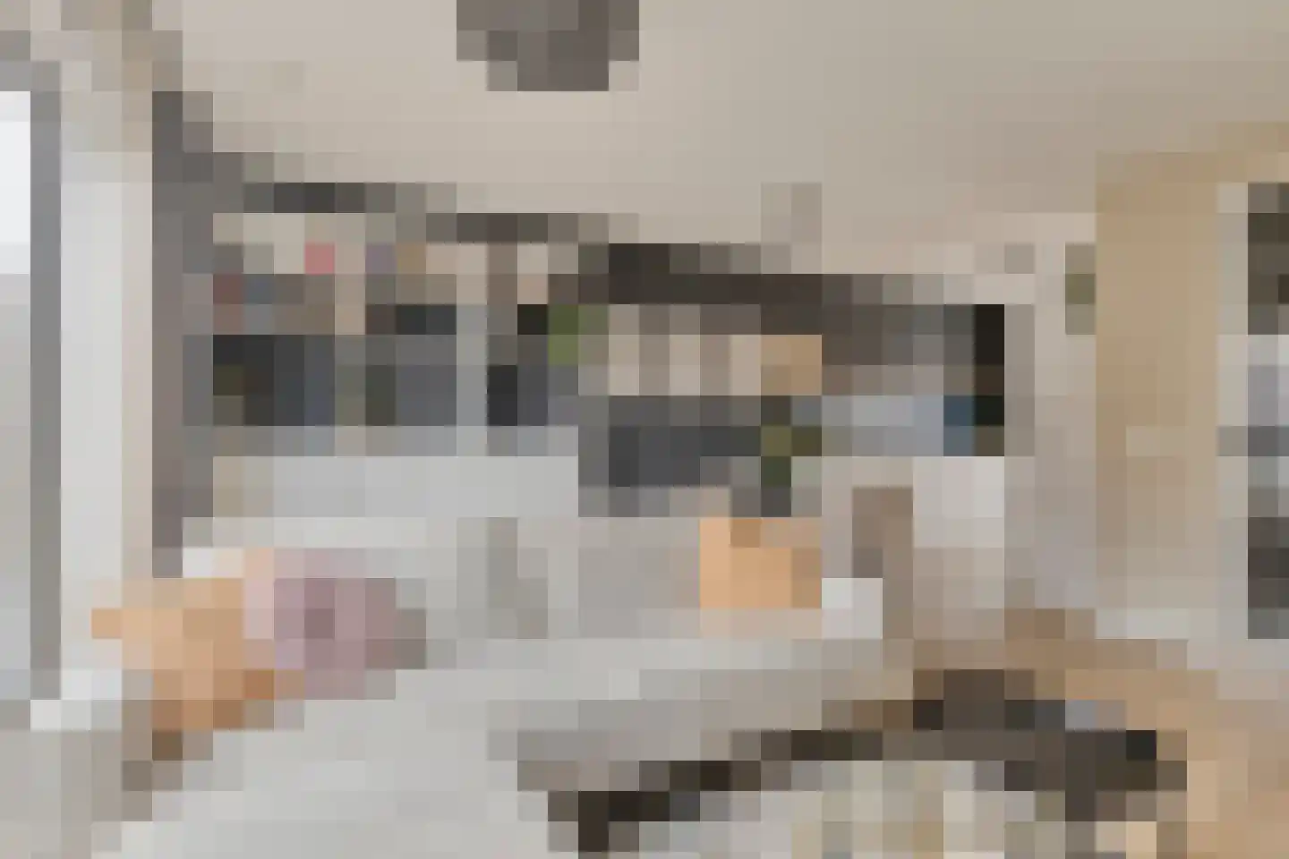 Nieuwe Hegelsomseweg 35 Hegelsom thumbnail 6