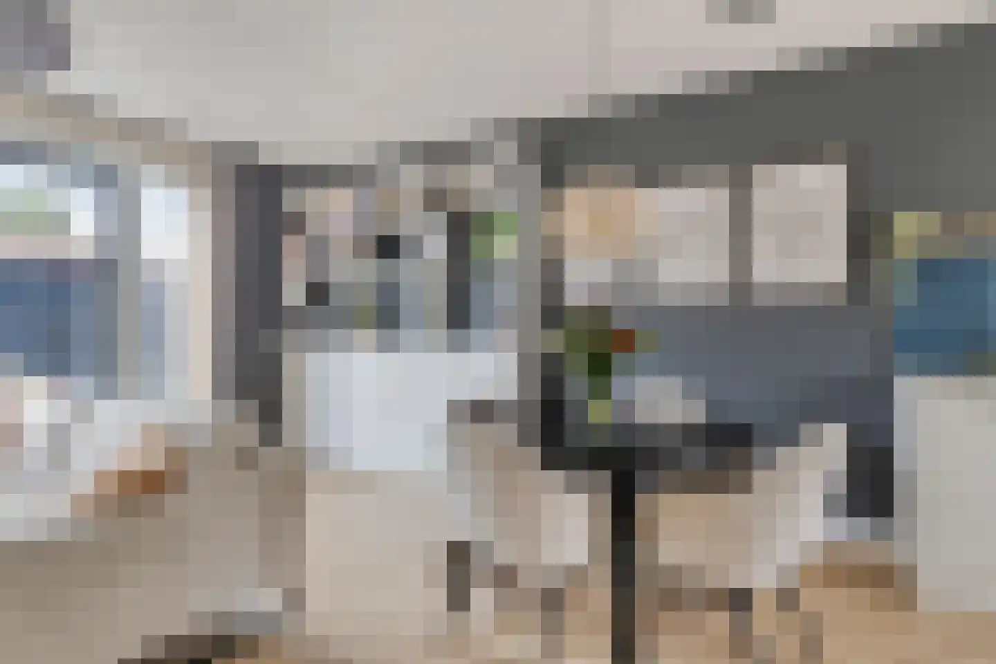 Nieuwe Hegelsomseweg 35 Hegelsom thumbnail 7