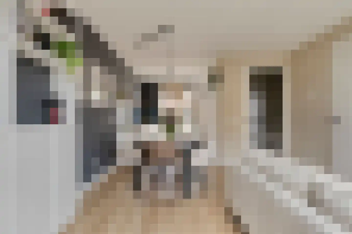 Nieuwe Hegelsomseweg 35 Hegelsom thumbnail 9