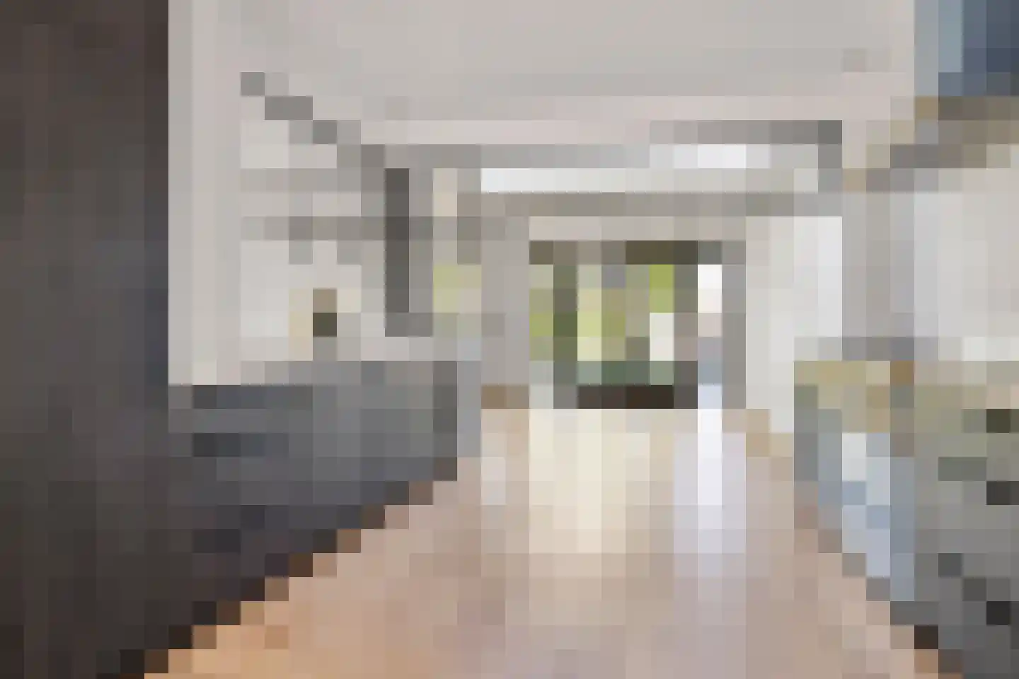 Nieuwe Heikantstraat 14 Vught thumbnail 10
